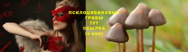 дмт Алексеевка